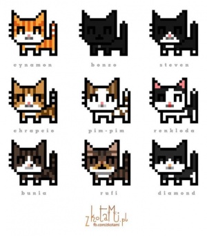 8-bit cats